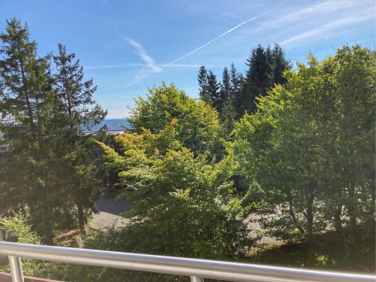 Ferienwohnung Paula Winterberg Luaran gambar